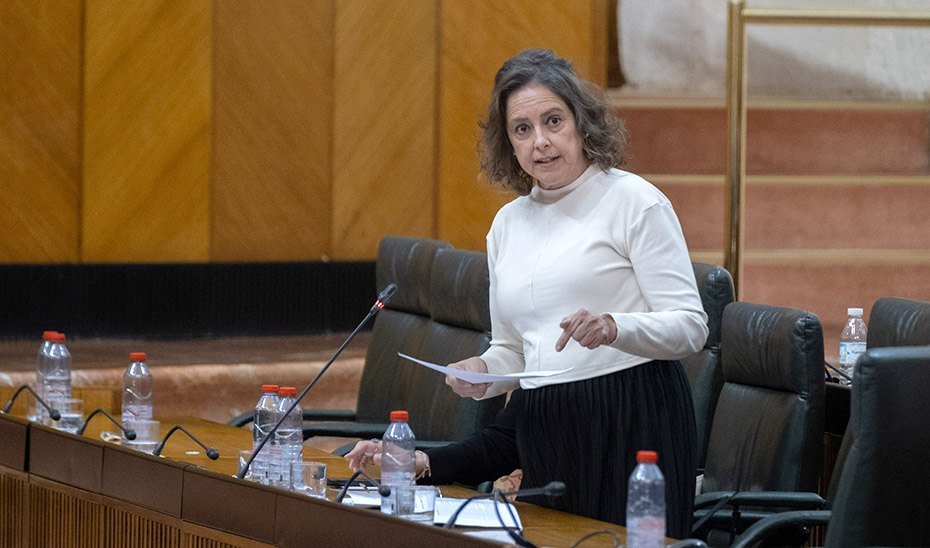 Andalucía reclama una nueva Ley de Costas que refuerce la seguridad jurídica y atienda la realidad territorial del litoral