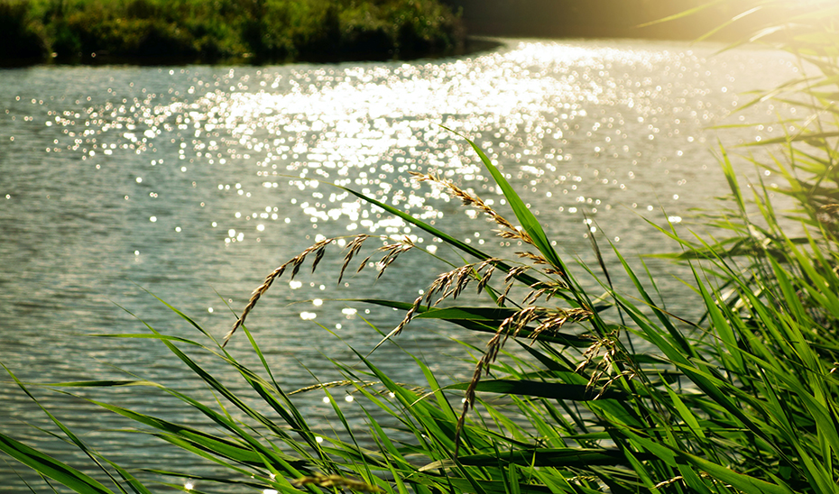 Declarada de emergencia la primera fase de las mejoras en cauces afectados por las borrascas