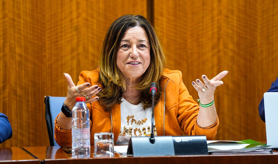 El Gobierno andaluz destaca que los principales indicadores confirman el avance de la educación