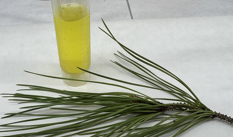 Andalucía impulsa un nanosensor que detecta biomarcadores clave en Alzhéimer o Parkinson