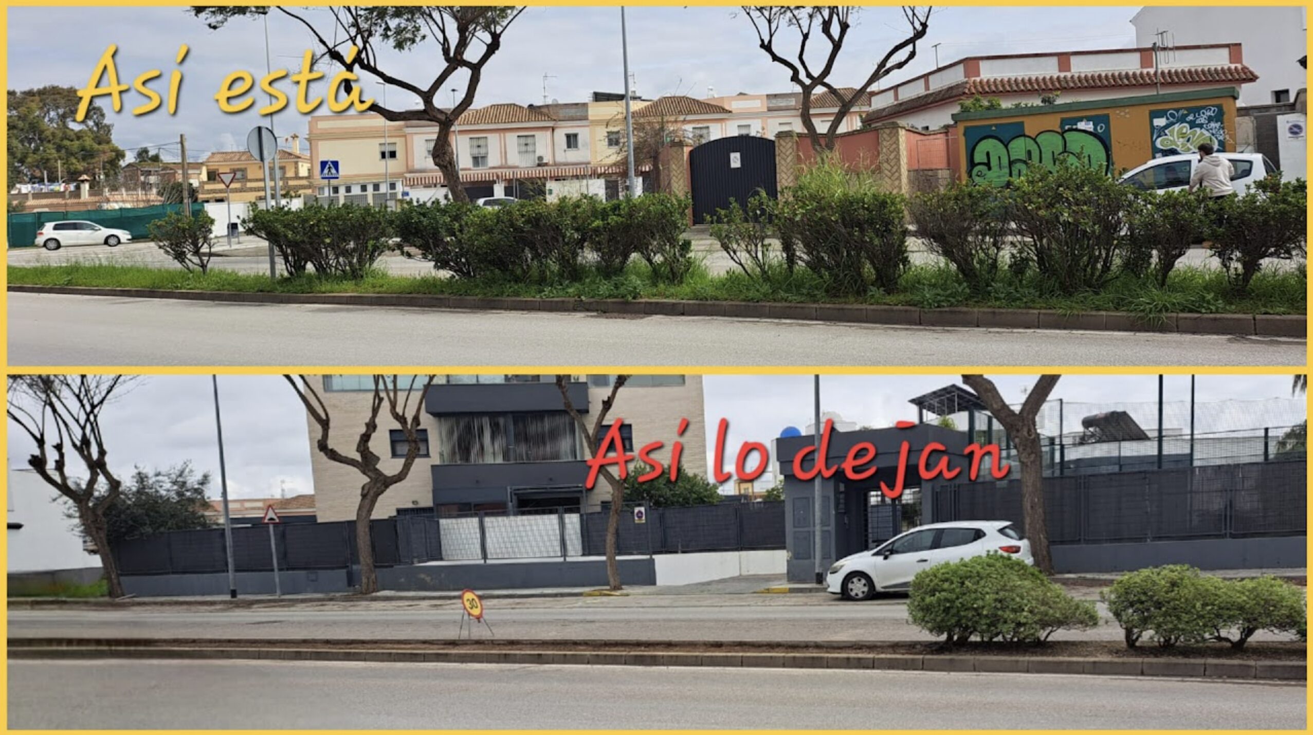 Ecologistas en Acción critica la sustitución de vegetación por césped artificial en la mediana de la avenida de la Manzanilla