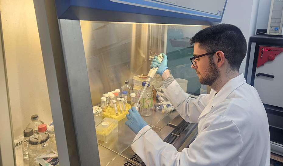 Andalucía obtiene hidrógeno a partir de bacterias y residuos de biodiésel