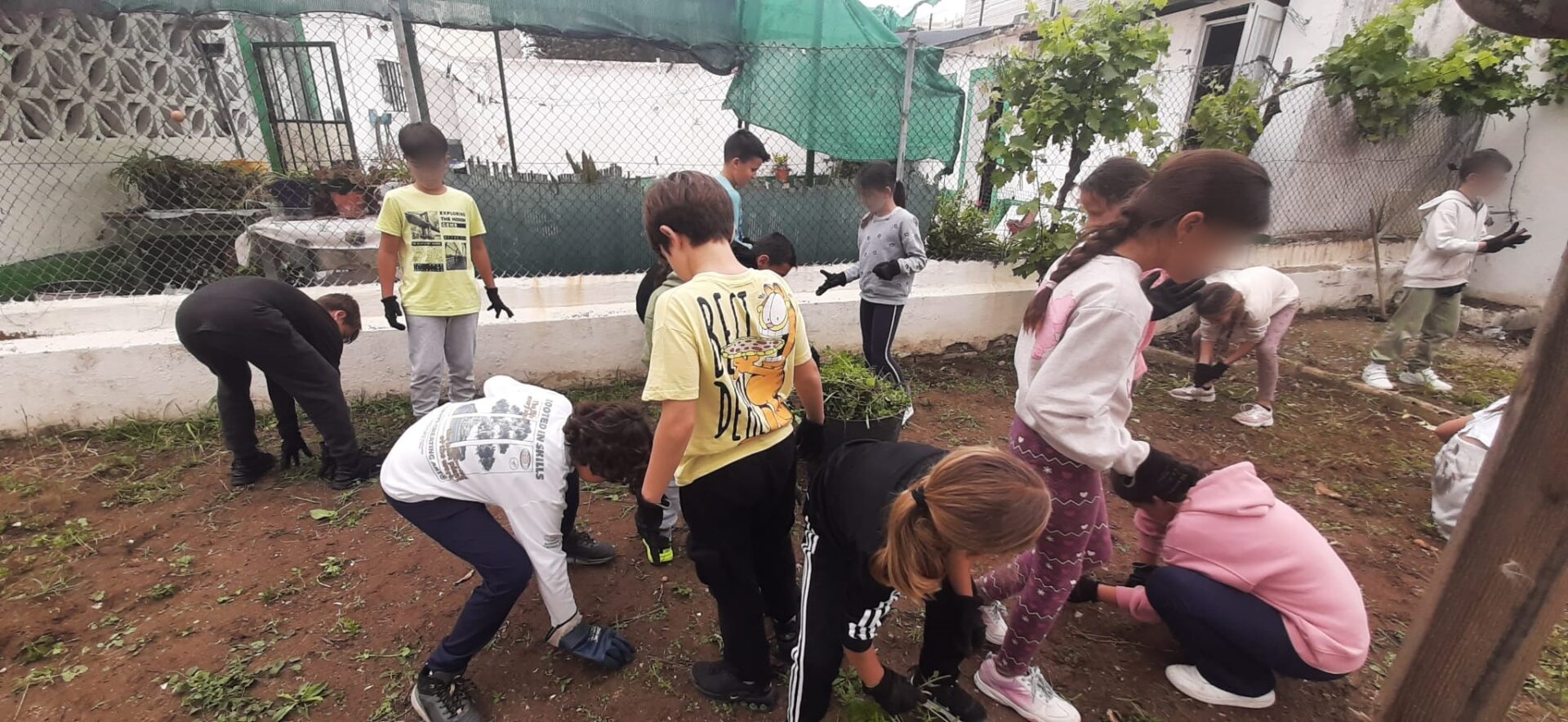 Convocada la quinta edición de los premios a los mejores huertos educativos de la provincia