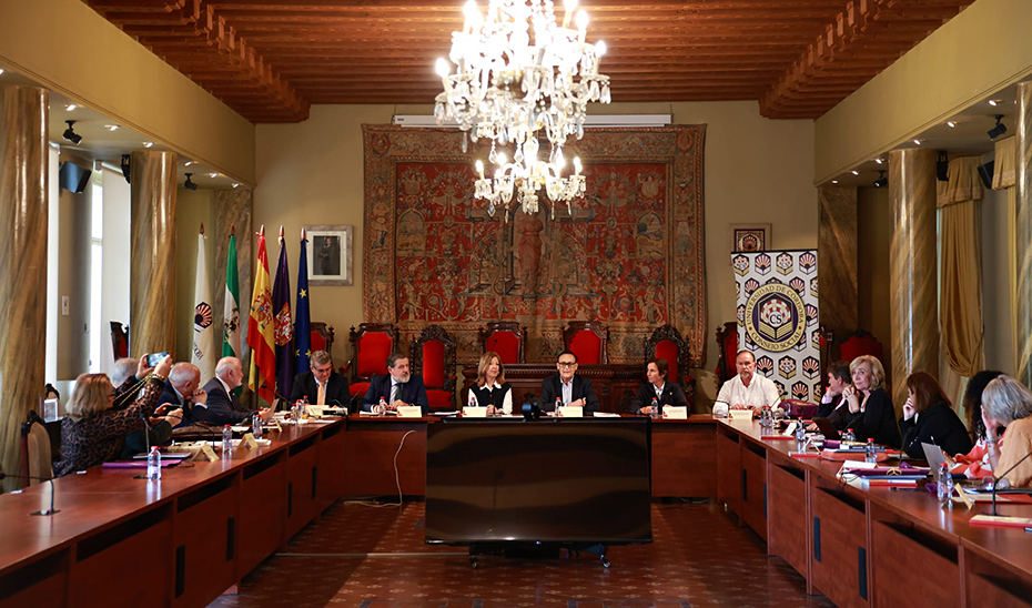 Los consejos sociales, comprometidos con una universidad más útil y conectada con la sociedad