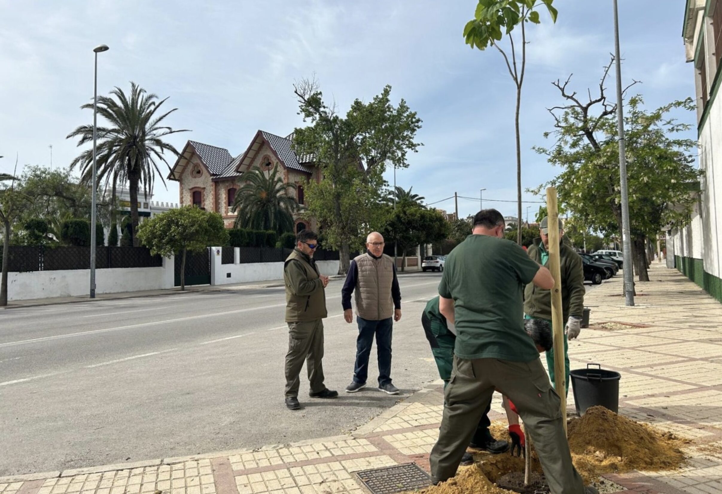 El Ayuntamiento planta árboles en la avenida de Bajo de Guía