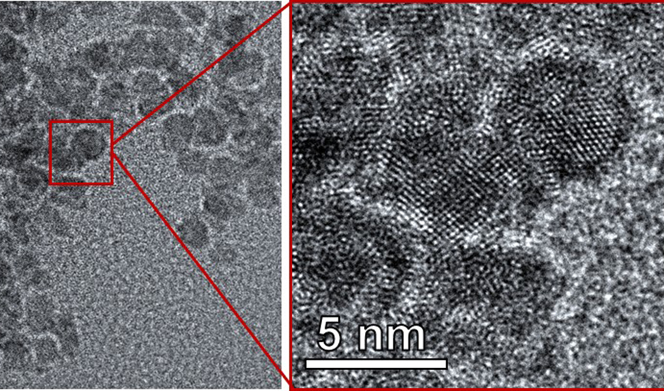 Andalucía diseña nanopartículas selectivas que eliminan bacterias infecciosas hospitalarias