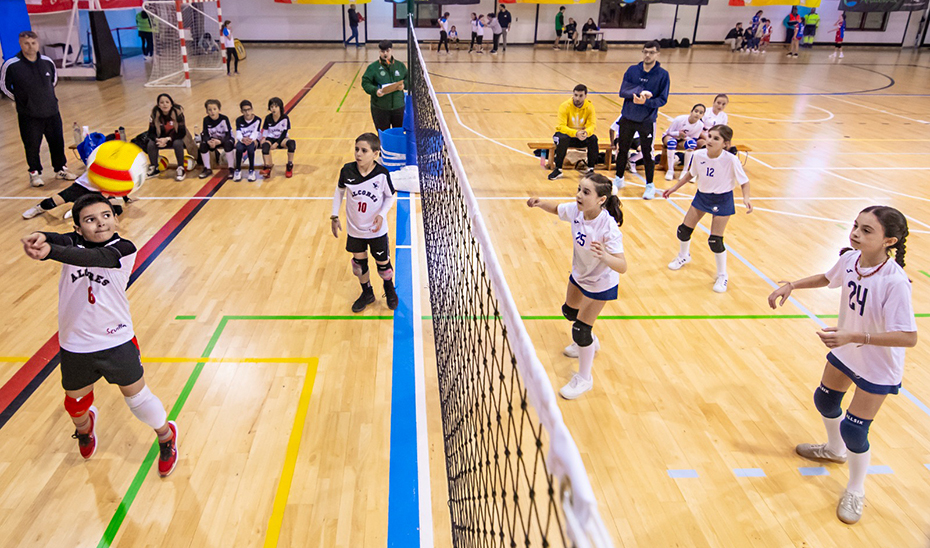 La fase final de la quinta edición de la Liga Edúcate en el Deporte reúne en Málaga a 60 equipos escolares