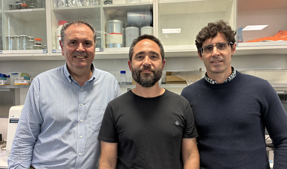 Diseñan biolubricantes ‘a medida’ para maquinaria desde un residuo de la industria papelera