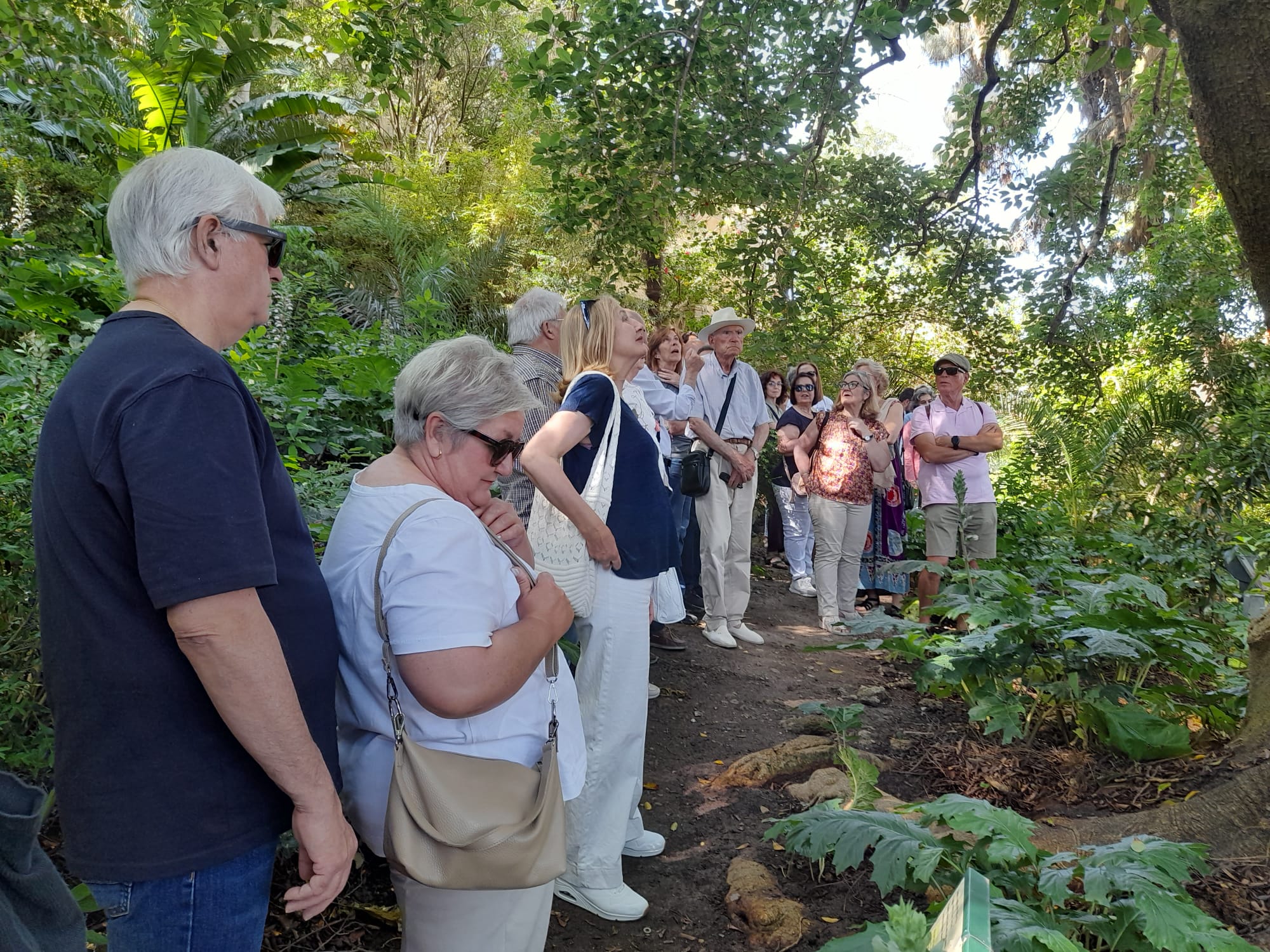 La Plataforma de Árboles Urbanos destaca la participación en los actos sobre el Jardín Histórico del Palacio Municipal